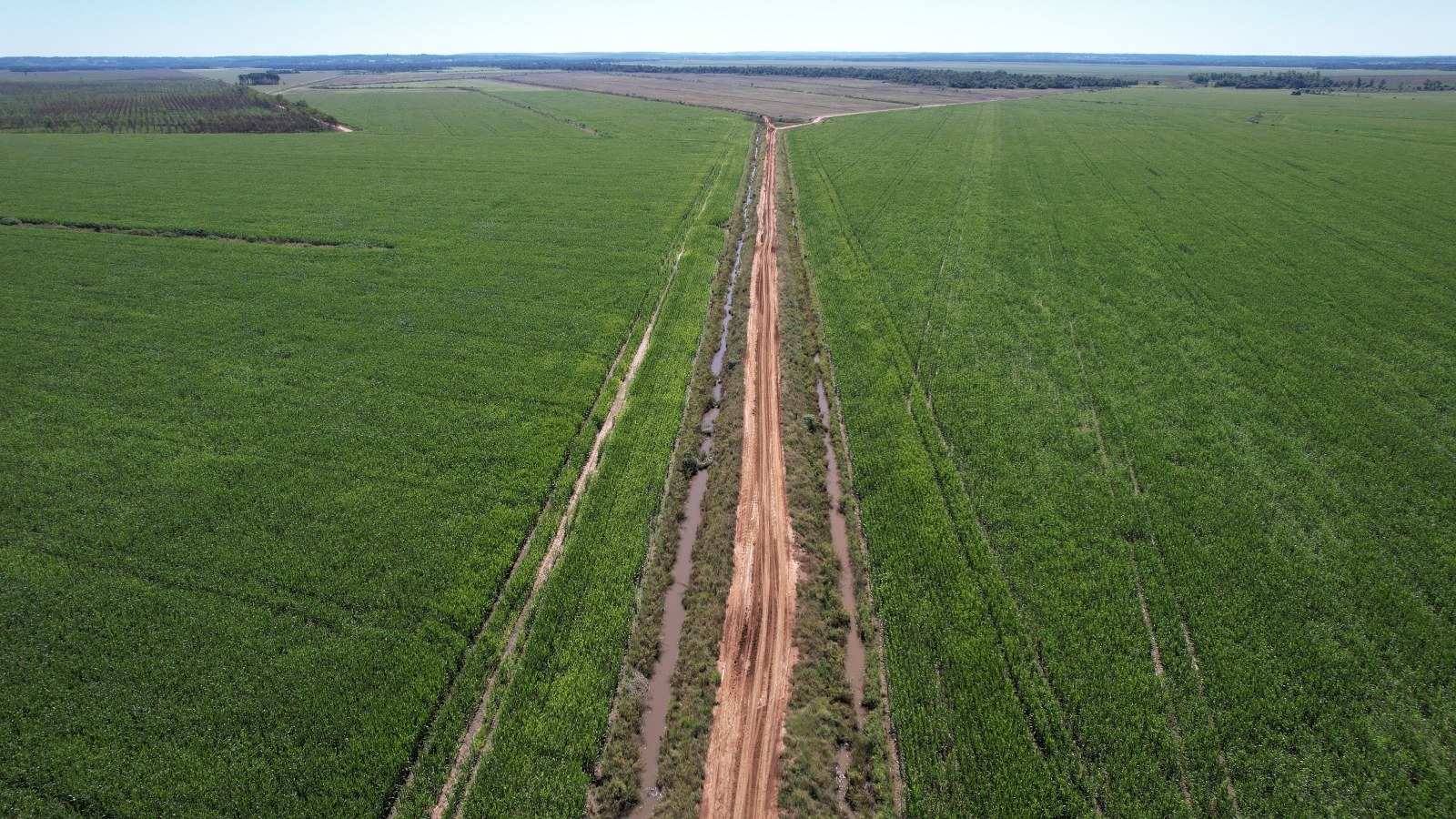 Unique Investment Opportunity In Paraguay 2508 Hectares Prime Cropping